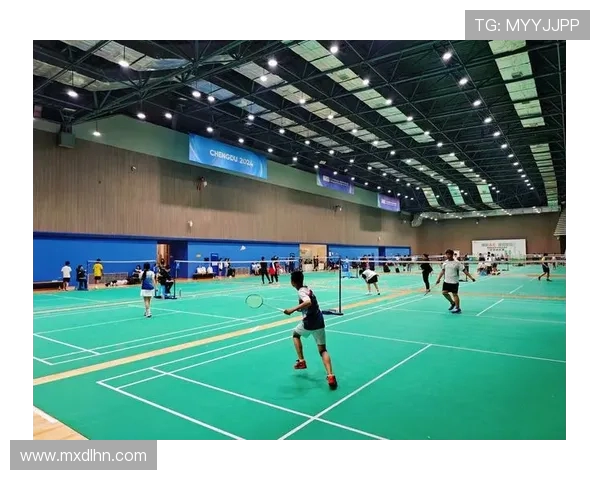 成都羽毛球队状态分析与未来展望聚焦羽毛球运动发展与团队建设